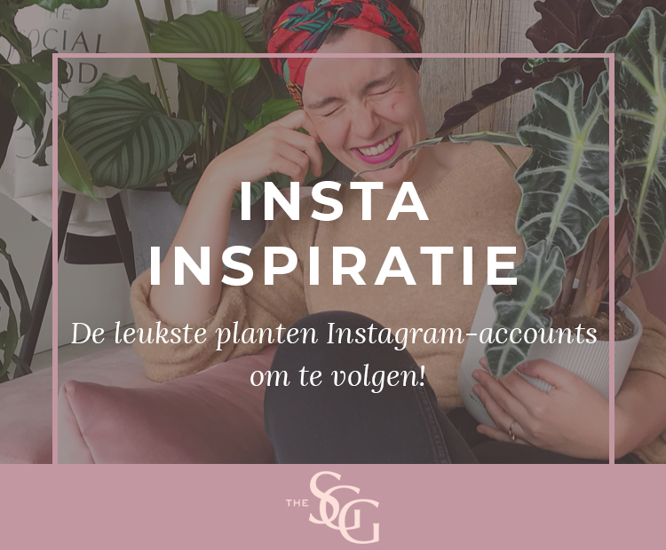 Instagram Inspiratie Planten